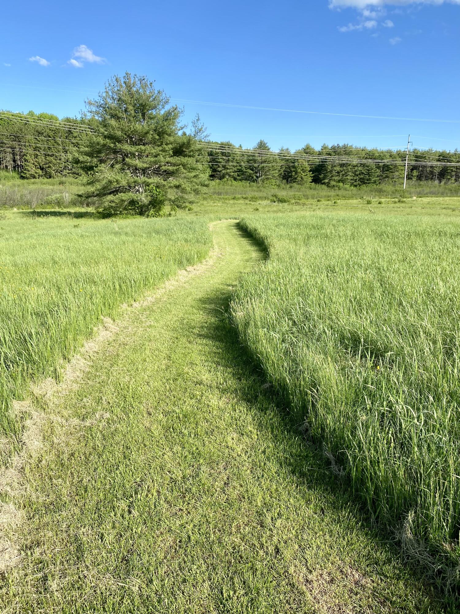 12 Bumblebee Road Gorham, ME 04038 - Photo 12 of 13 1