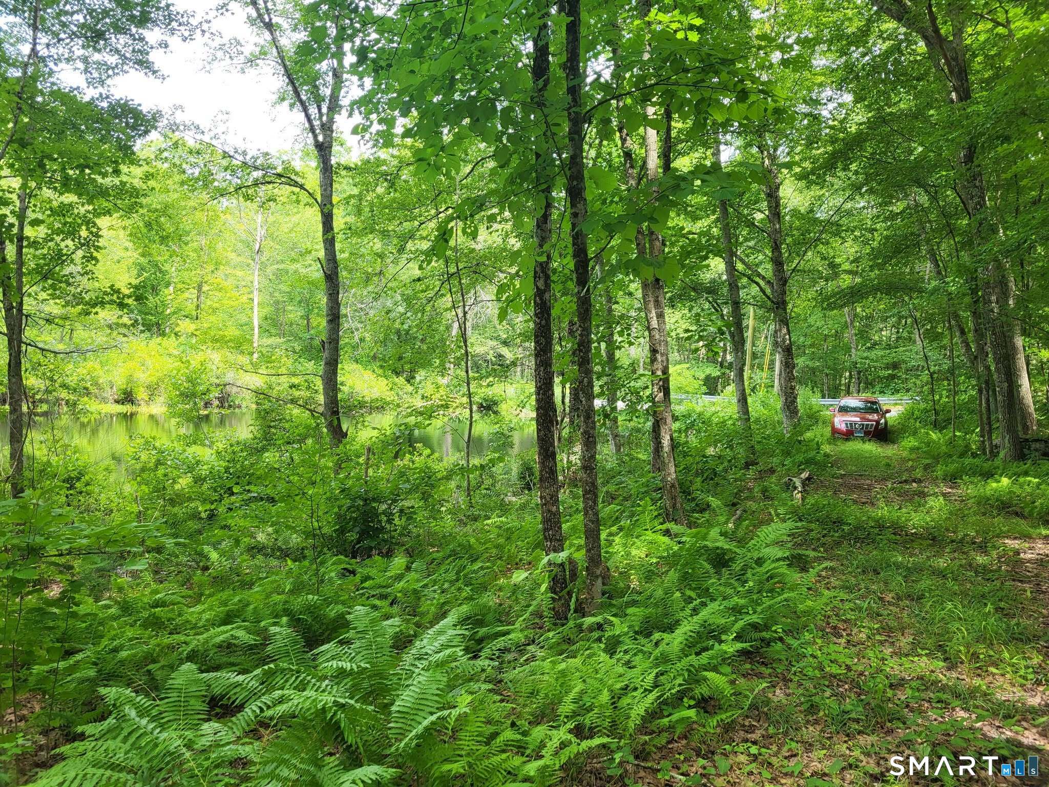305 Tripp Hollow Road Brooklyn, CT 06234 - Photo 2 of 29