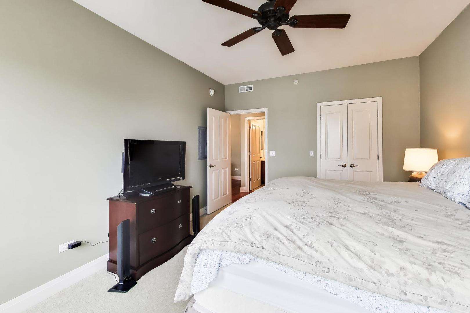 100 South Emerson Street, Unit 507 Mount Prospect, IL 60056 - Photo 17 of 30