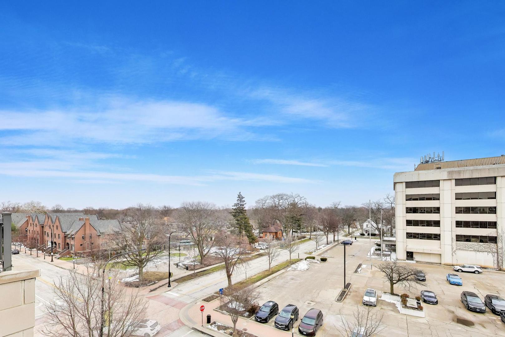 100 South Emerson Street, Unit 507 Mount Prospect, IL 60056 - Photo 22 of 30