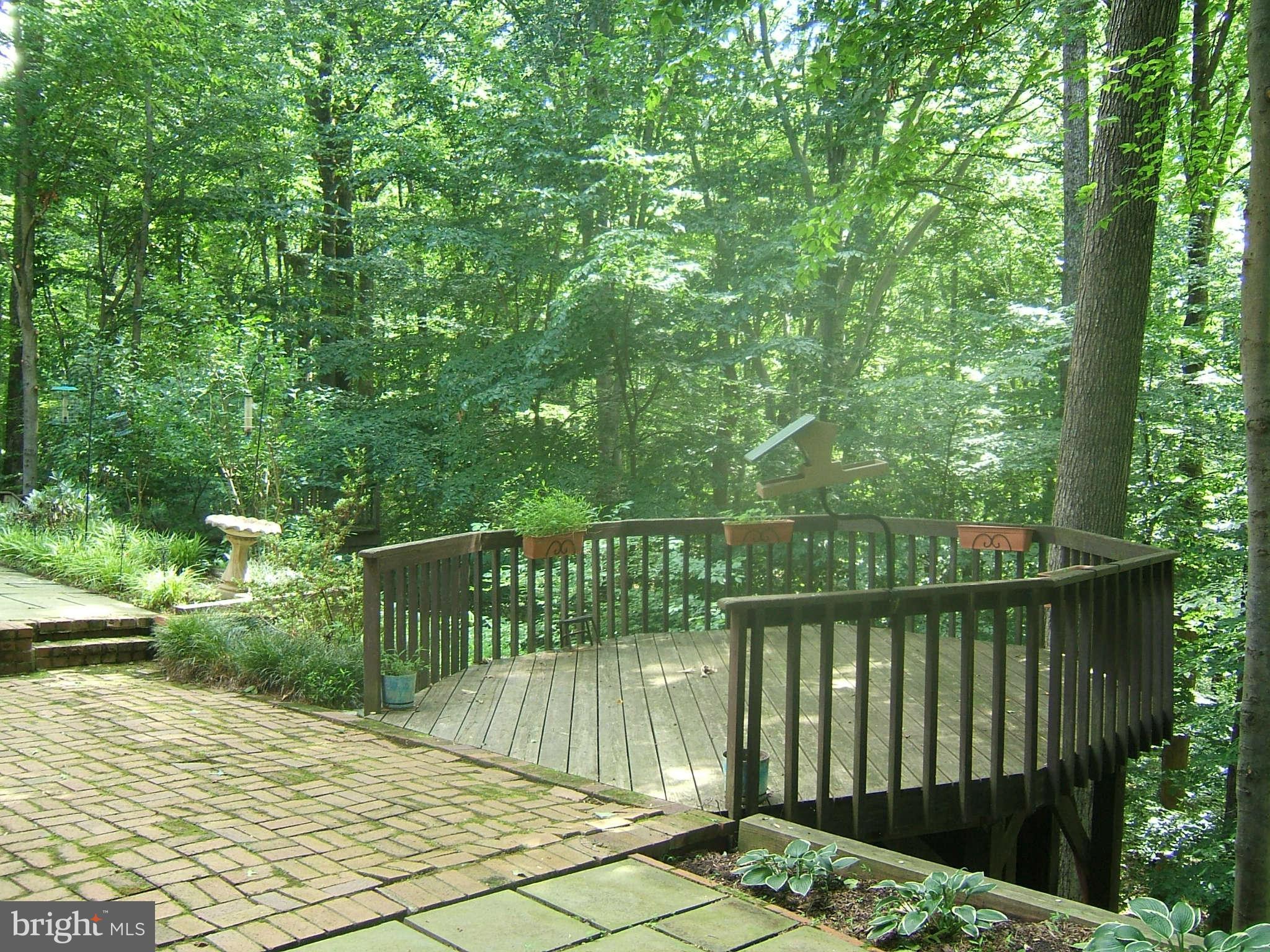 8609 Kerry Lane Springfield, VA 22152 - Photo 24 of 28 Exterior General