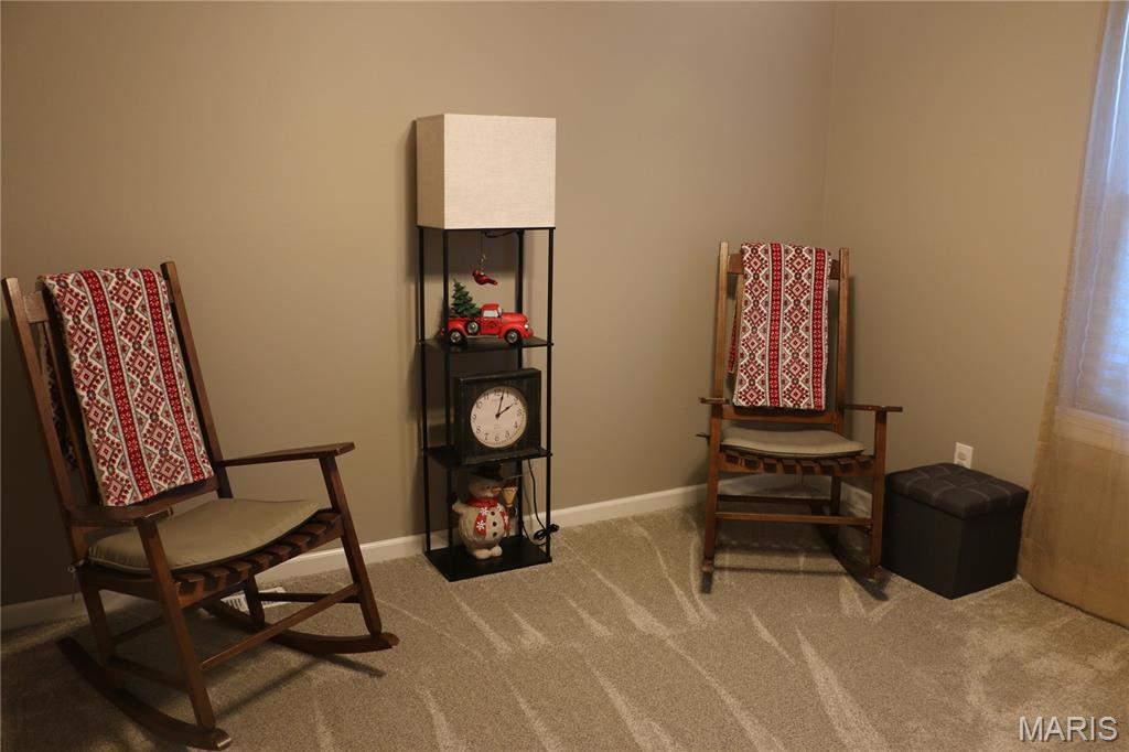 4 Ridgewoods Court St. Peters, MO 63376 - Photo 23 of 23