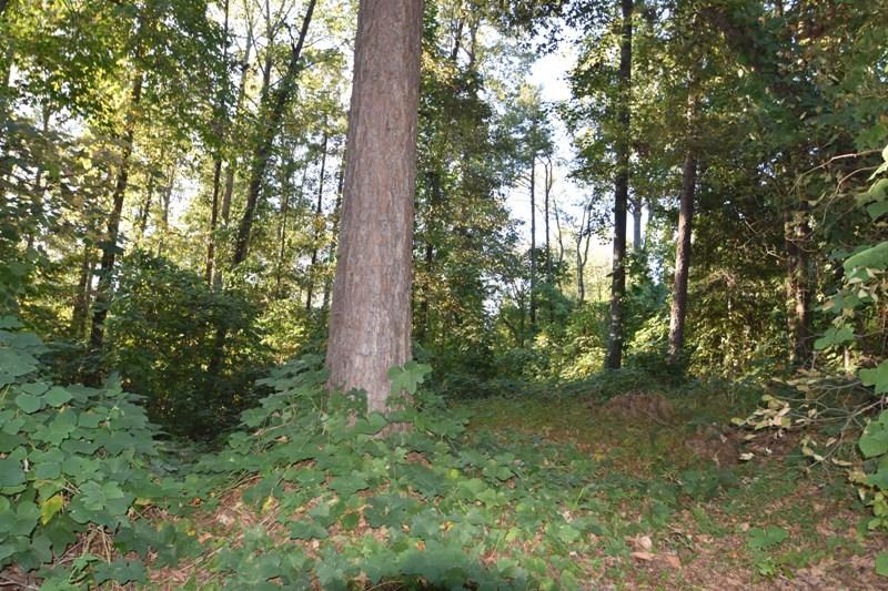 375 Jordan Creek Farm Road Wellford, SC 29385 - Photo 1 of 3 Gallery Image 1