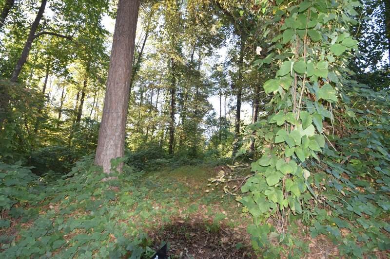 375 Jordan Creek Farm Road Wellford, SC 29385 - Photo 2 of 3 Gallery Image 2