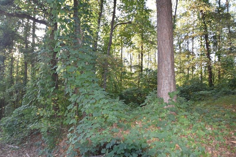 375 Jordan Creek Farm Road Wellford, SC 29385 - Photo 3 of 3 Gallery Image 3