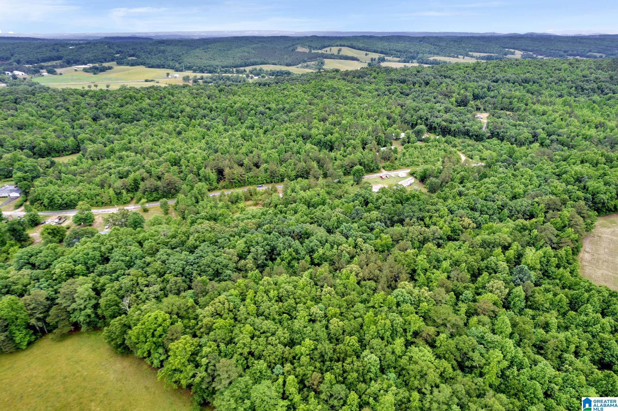 530 Mt Road Blountsville, AL 35031 - Photo 11 of 18