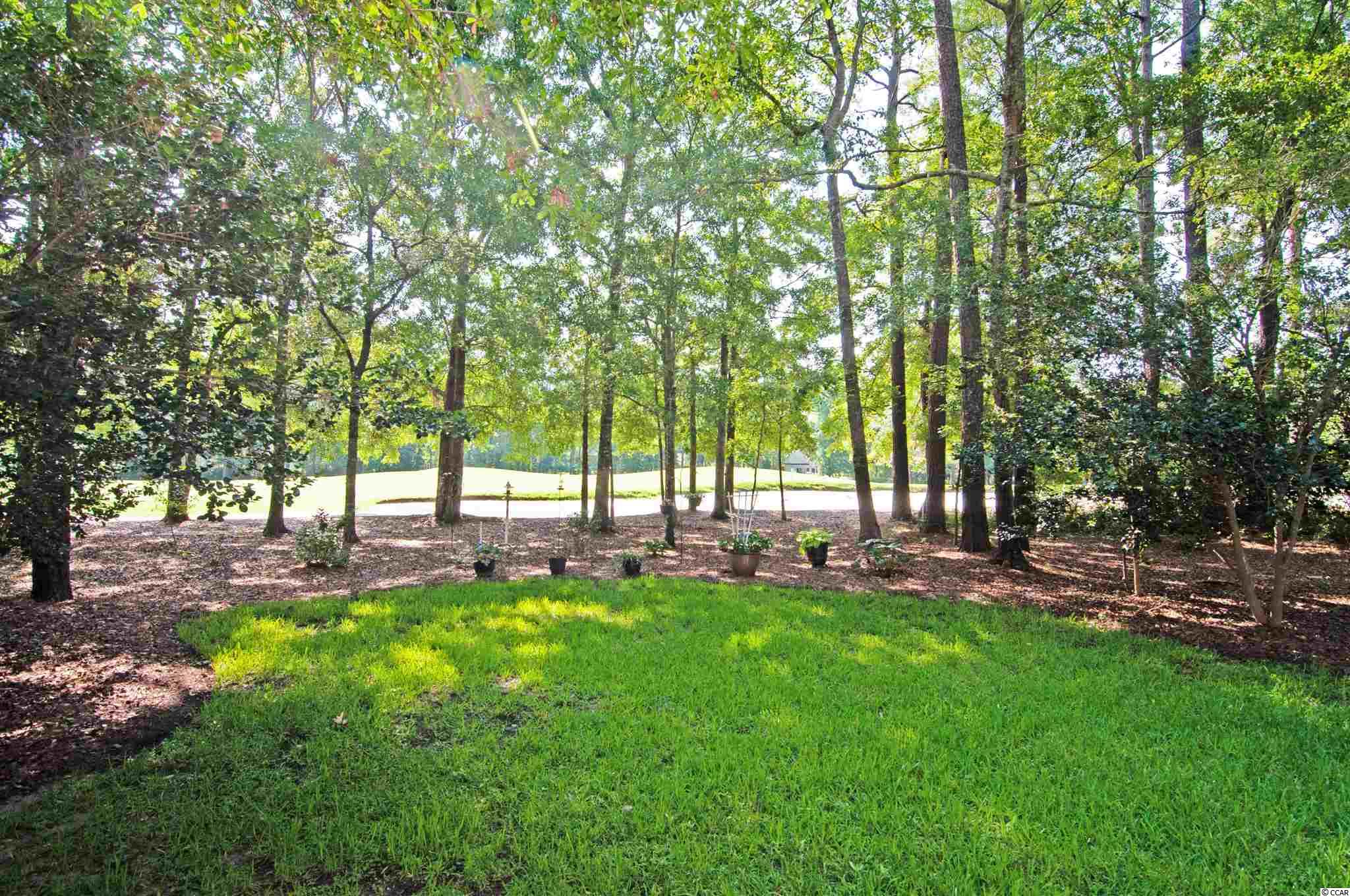4515 Wagon Run Murrells Inlet, SC 29576 - Photo 5 of 38 Gallery Image 5