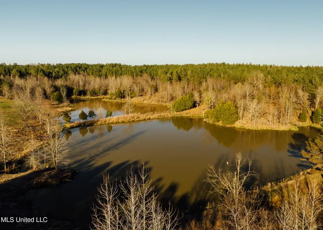 $2,150,000 | Alfred Phelps Lane, Lexington, MS 39095