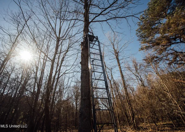 $2,150,000 | Alfred Phelps Lane, Lexington, MS 39095