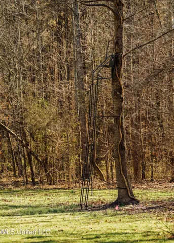 $2,150,000 | Alfred Phelps Lane, Lexington, MS 39095