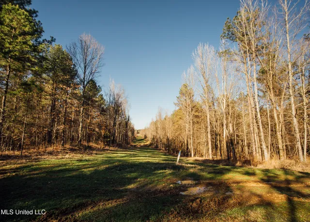 $2,150,000 | Alfred Phelps Lane, Lexington, MS 39095