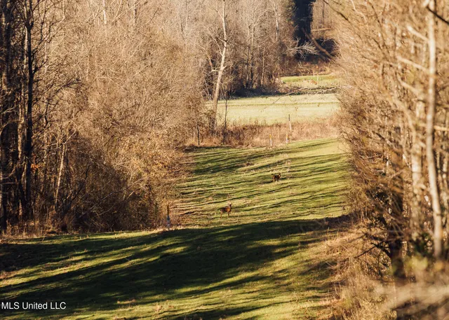 $2,150,000 | Alfred Phelps Lane, Lexington, MS 39095