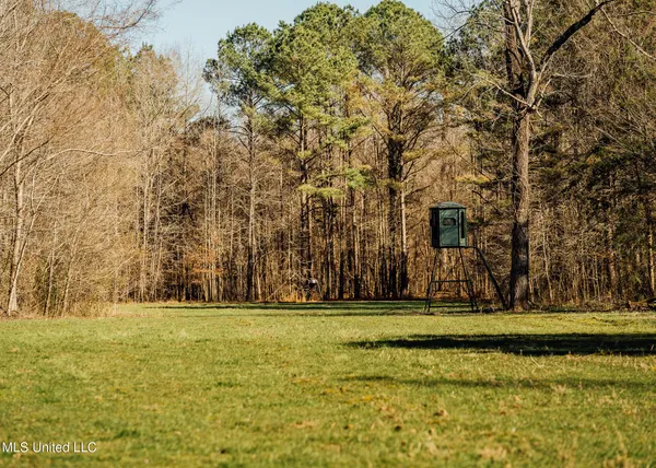 $2,150,000 | Alfred Phelps Lane, Lexington, MS 39095