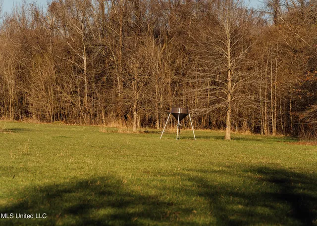 $2,150,000 | Alfred Phelps Lane, Lexington, MS 39095