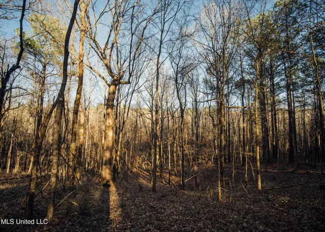 $2,150,000 | Alfred Phelps Lane, Lexington, MS 39095