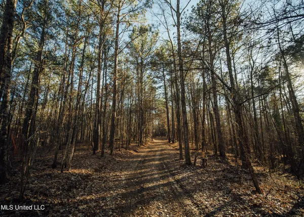 $2,150,000 | Alfred Phelps Lane, Lexington, MS 39095