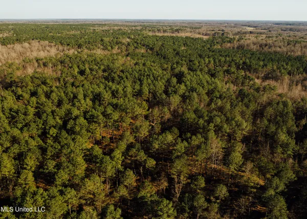 $2,150,000 | Alfred Phelps Lane, Lexington, MS 39095
