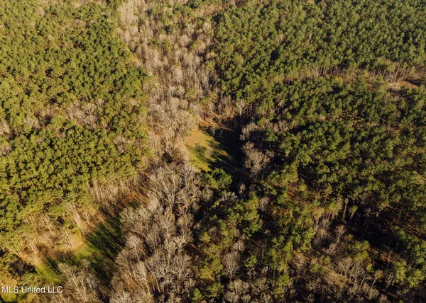 $2,150,000 | Alfred Phelps Lane, Lexington, MS 39095