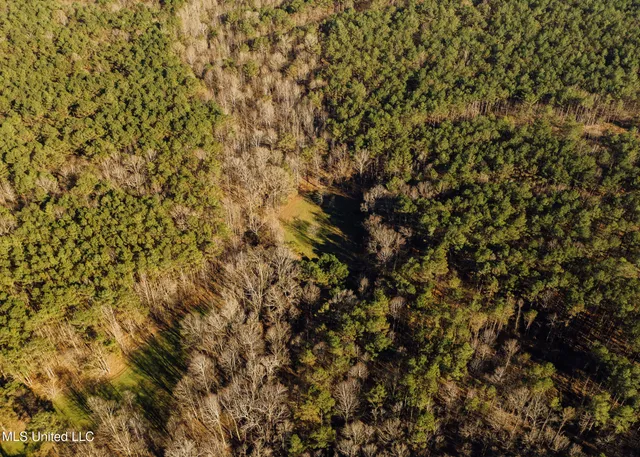 $2,150,000 | Alfred Phelps Lane, Lexington, MS 39095