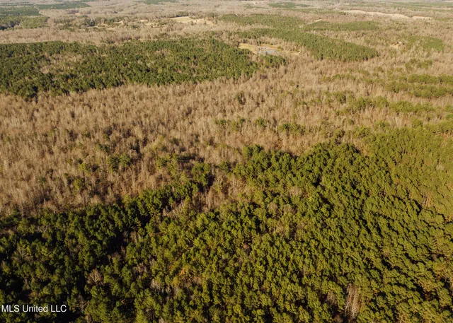 $2,150,000 | Alfred Phelps Lane, Lexington, MS 39095