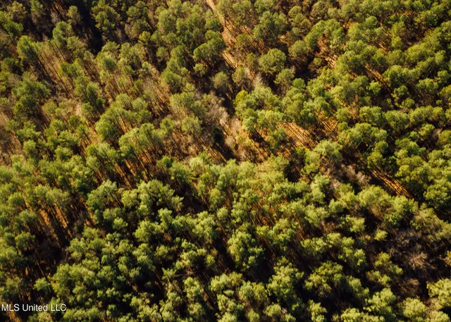 $2,150,000 | Alfred Phelps Lane, Lexington, MS 39095