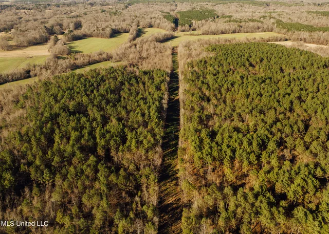 $2,150,000 | Alfred Phelps Lane, Lexington, MS 39095