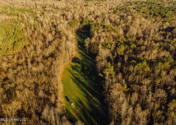 $2,150,000 | Alfred Phelps Lane, Lexington, MS 39095