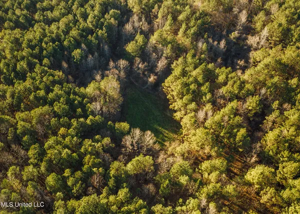 $2,150,000 | Alfred Phelps Lane, Lexington, MS 39095
