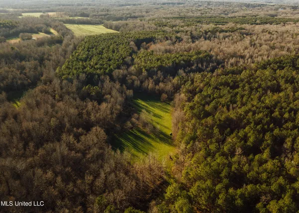 $2,150,000 | Alfred Phelps Lane, Lexington, MS 39095
