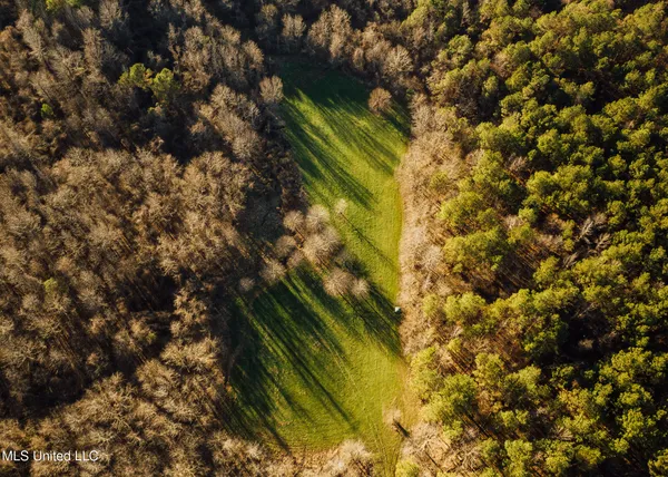 $2,150,000 | Alfred Phelps Lane, Lexington, MS 39095