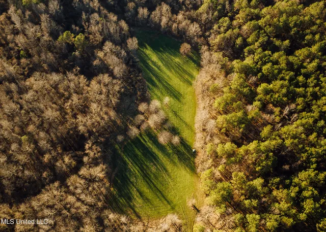 $2,150,000 | Alfred Phelps Lane, Lexington, MS 39095