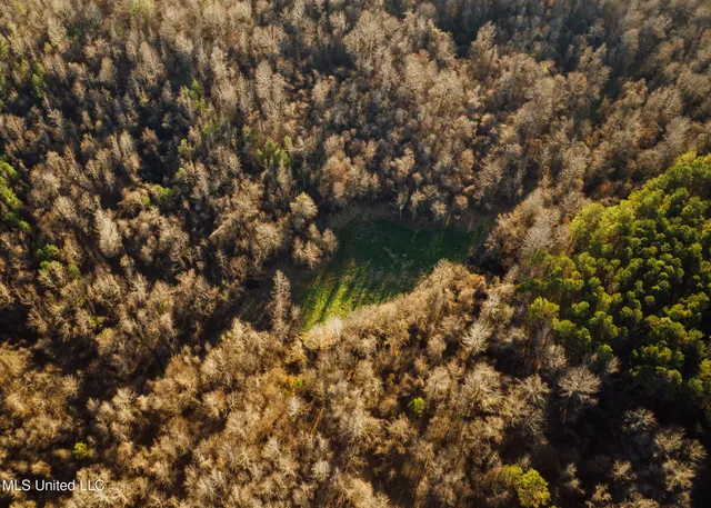 $2,150,000 | Alfred Phelps Lane, Lexington, MS 39095