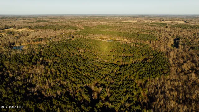 $2,150,000 | Alfred Phelps Lane, Lexington, MS 39095