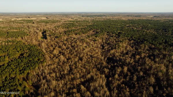 $2,150,000 | Alfred Phelps Lane, Lexington, MS 39095
