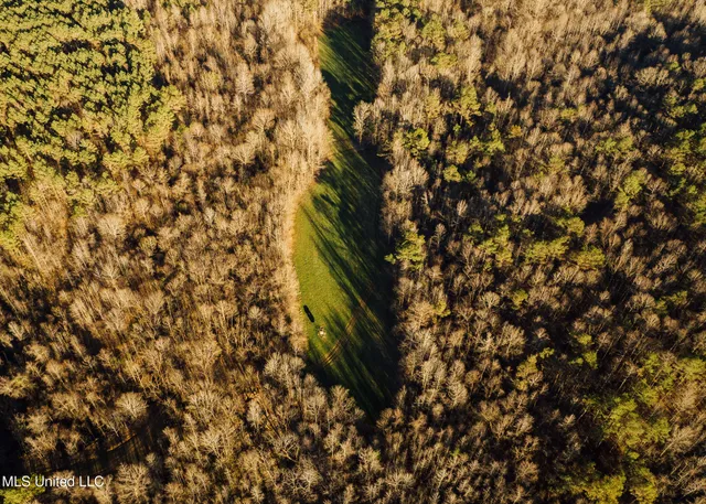 $2,150,000 | Alfred Phelps Lane, Lexington, MS 39095