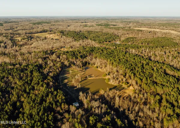$2,150,000 | Alfred Phelps Lane, Lexington, MS 39095