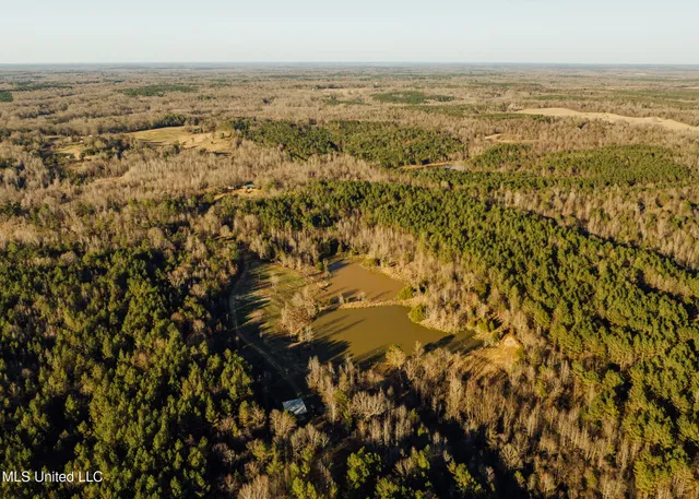 $2,150,000 | Alfred Phelps Lane, Lexington, MS 39095