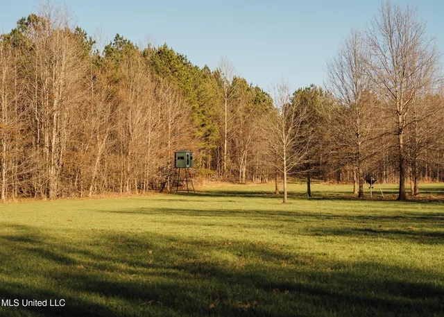 $2,150,000 | Alfred Phelps Lane, Lexington, MS 39095