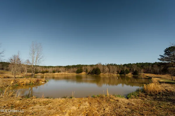 $2,150,000 | Alfred Phelps Lane, Lexington, MS 39095