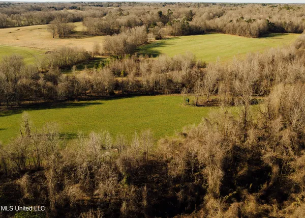 $2,150,000 | Alfred Phelps Lane, Lexington, MS 39095