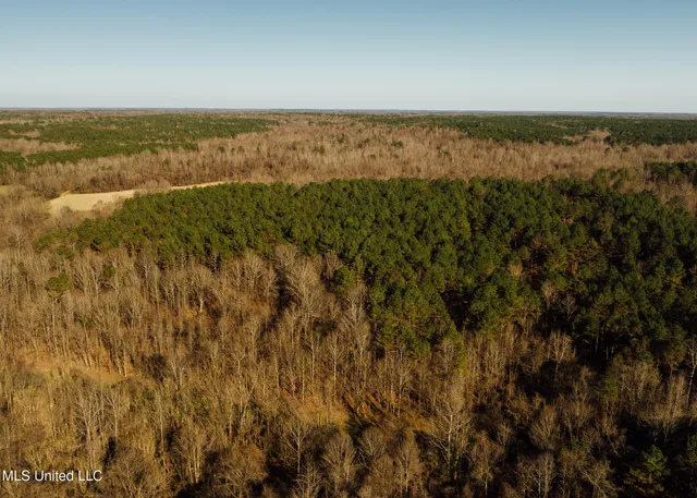 $2,150,000 | Alfred Phelps Lane, Lexington, MS 39095