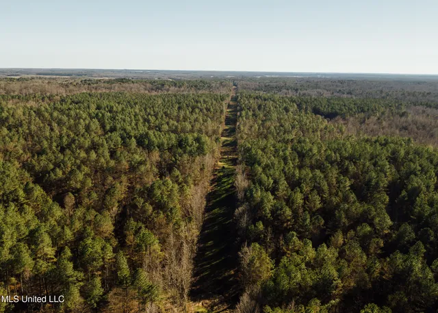 $2,150,000 | Alfred Phelps Lane, Lexington, MS 39095