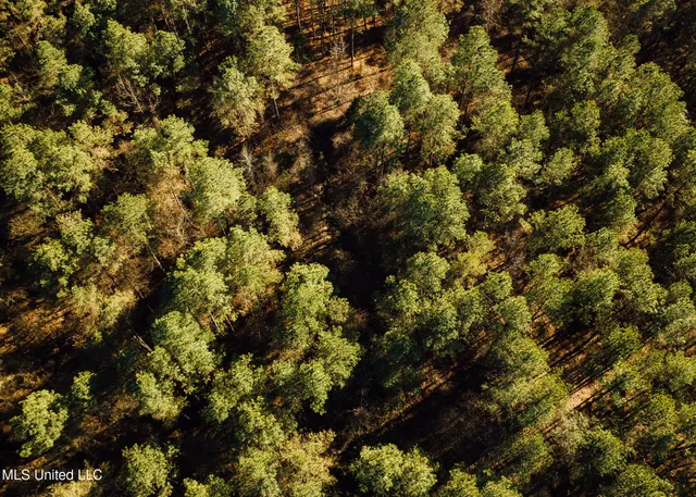 $2,150,000 | Alfred Phelps Lane, Lexington, MS 39095