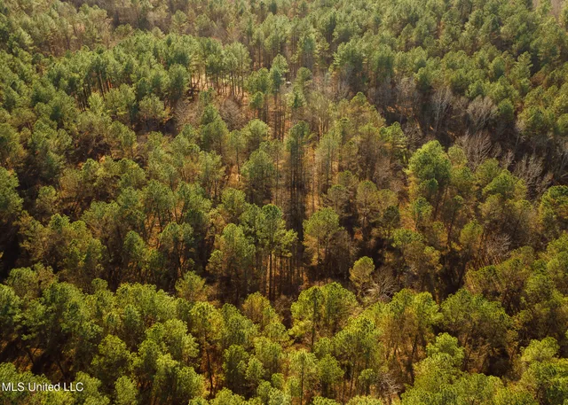 $2,150,000 | Alfred Phelps Lane, Lexington, MS 39095