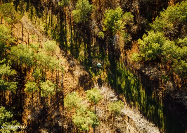 $2,150,000 | Alfred Phelps Lane, Lexington, MS 39095