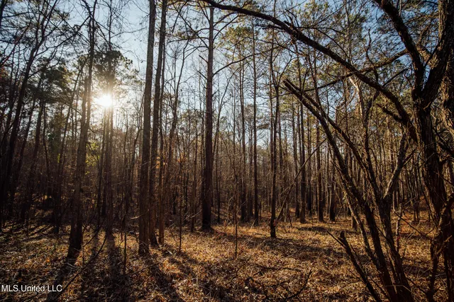 $2,150,000 | Alfred Phelps Lane, Lexington, MS 39095