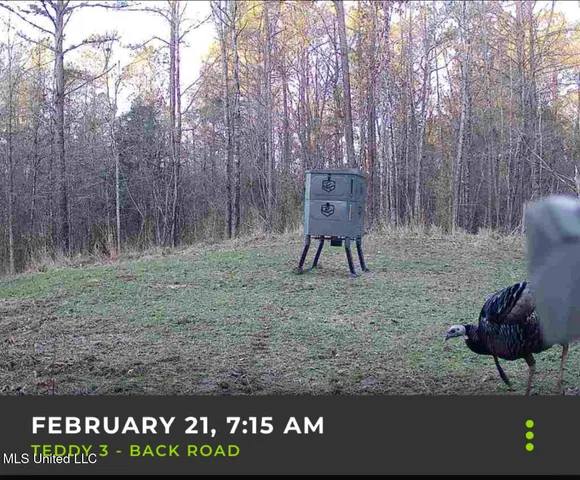 $2,150,000 | Alfred Phelps Lane, Lexington, MS 39095