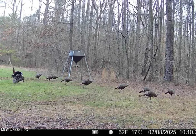 $2,150,000 | Alfred Phelps Lane, Lexington, MS 39095