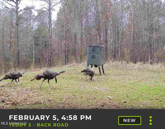 $2,150,000 | Alfred Phelps Lane, Lexington, MS 39095