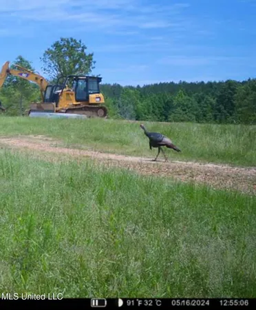 $2,150,000 | Alfred Phelps Lane, Lexington, MS 39095
